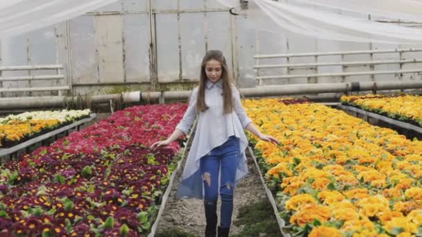 Mooie langharige jong meisje loopt in kas met glimlach — Stockvideo