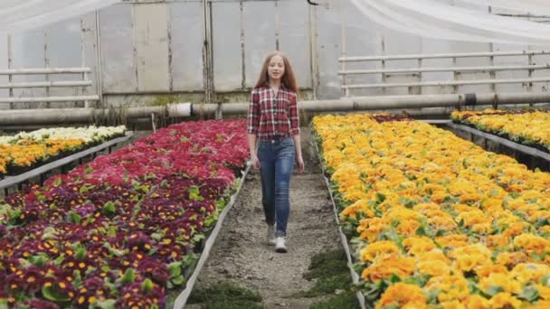 Hübsches langhaariges junges Mädchen spaziert lächelnd im Gewächshaus — Stockvideo