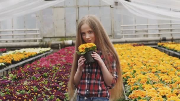 Söt flicka luktar blommor med leende, poserar och ser på kameran — Stockvideo