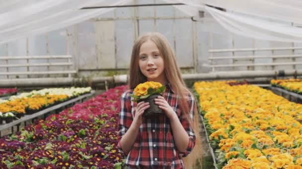 Chica bonita huele flores con sonrisa, posa y mira a la cámara — Vídeos de Stock