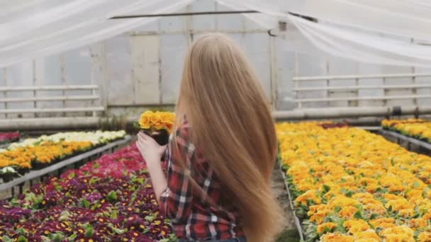 Chica bonita huele flores con sonrisa, posa y mira a la cámara — Vídeo de stock
