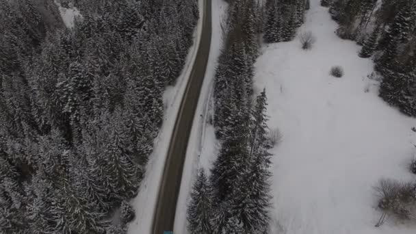 Lot nad lasem zimowym na północy, widok z góry — Wideo stockowe