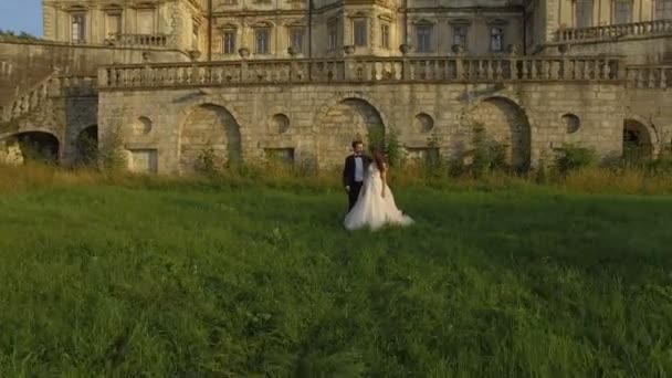 Aerial view of groom comes to bride and caresses her on castle background — Stock Video
