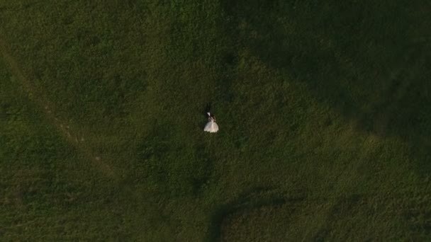 Vista superior do casal de casamento deitado na grama verde e descansando — Vídeo de Stock