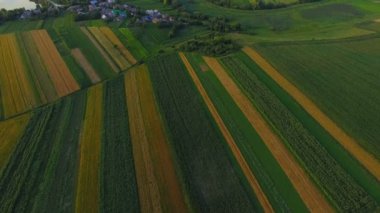 Yeşil alanlar Panoraması. Üst havadan görünüm. 4k