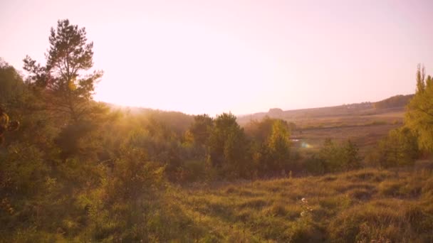 Погляд на спокійну природу природи. Красива сільська місцевість — стокове відео