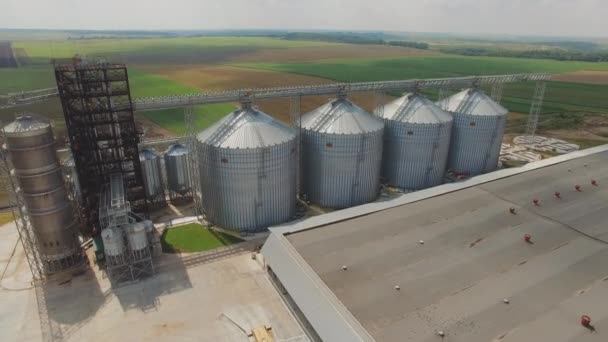 Vista aérea do tanque de armazenamento de silos de grãos agrícolas. 4K — Vídeo de Stock