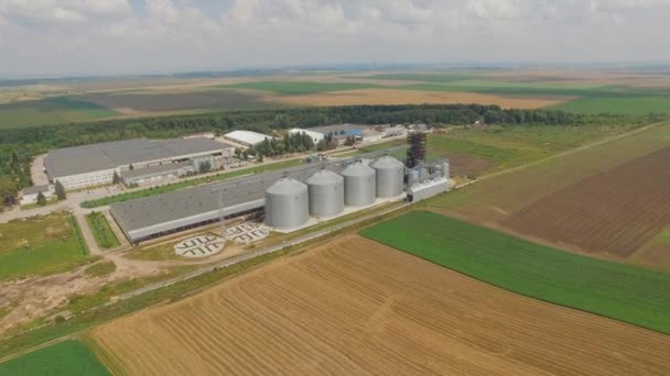 Vue aérienne supérieure des réservoirs de stockage de silos à grains agricoles. 4K — Video