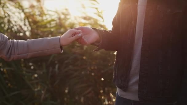 Vista cercana de la mano de la pareja enamorada sobre el fondo del atardecer — Vídeos de Stock