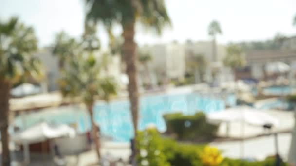 Esterno sfocato del resort con palme e piscina — Video Stock
