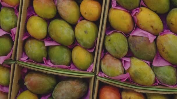 Vista de tienda de frutas para los turistas. 4K — Vídeo de stock