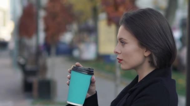 Perfil de señora bonita con peinado elegante y labios rojos bebe té en una calle — Vídeos de Stock