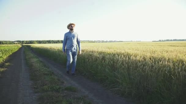 Fiatal farmer sétál a mezőn, és körülnéz a naplementében. — Stock videók