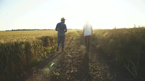 Dwóch rolników idzie na pola i emocjonalnie rozmawia między sobą. — Wideo stockowe