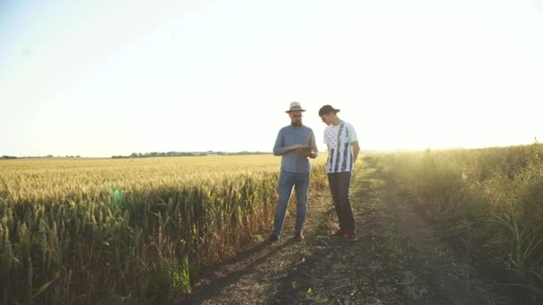 Két farmer beszélgetett egymással táblagépet használva napnyugtakor. — Stock videók