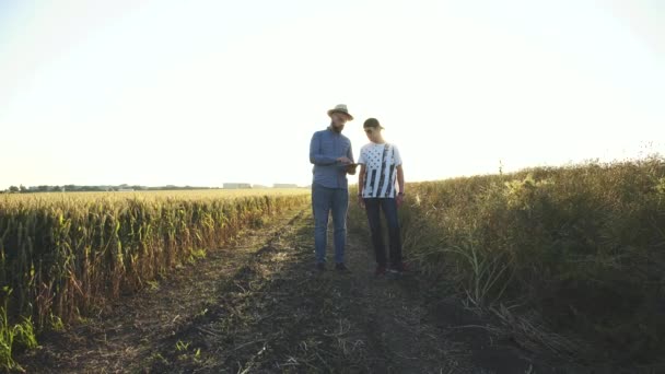 Два фермери розмовляють між собою, використовуючи планшет у полі на заході сонця — стокове відео