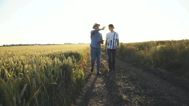 Dwóch rolników rozmawiających między sobą przy użyciu tabletu w polu o zachodzie słońca — Wideo stockowe