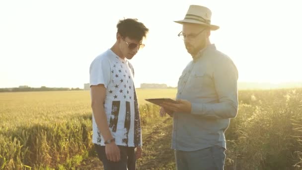 Dos agricultores resuelven el problema entre sí usando tabletas en el campo al atardecer — Vídeo de stock
