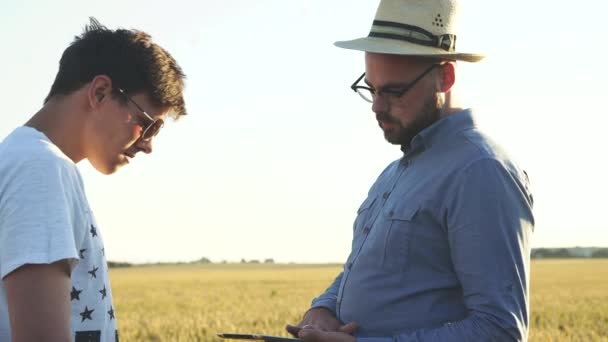 Dos jóvenes agricultores resuelven el problema usando tabletas en el campo de trigo al atardecer — Vídeo de stock