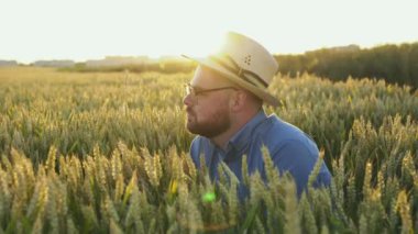 Mutlu çiftçi akşam tarlada kalın buğday kulağı kokluyor.