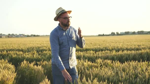 Agricultor de confianza habla por teléfono y mira a la distancia en un campo — Vídeos de Stock