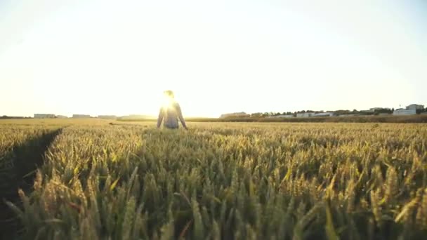 Agricultor caminha entre o campo de trigo, despe chapéu e se alegra — Vídeo de Stock