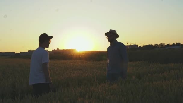 İki çiftçi gün batımında buğday tarlasında el sıkışıyor. 4K — Stok video