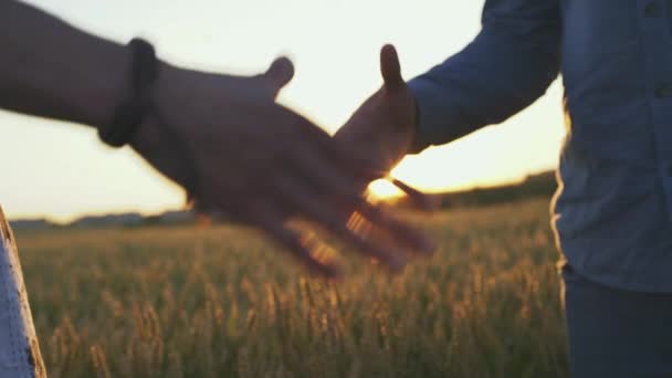 Felismerhetetlen, hogy két farmer kezet fog a búzamezőn naplementekor. — Stock videók