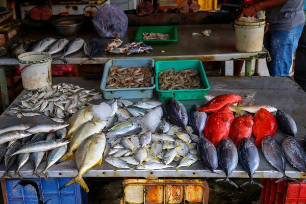 Yerel Balık Pazarı 'nda Taze Deniz Ürünleri Gösterimi