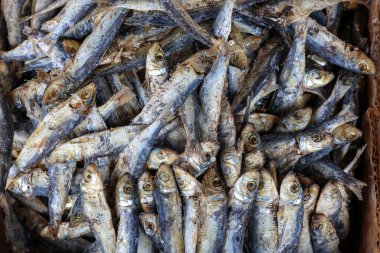 Kurutulmuş balık yığını, yakın çekim, piyasa görüntüsü