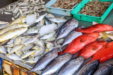 Taze deniz ürünleri, balık ve karides çeşitleri, deniz ürünleri pazarı.