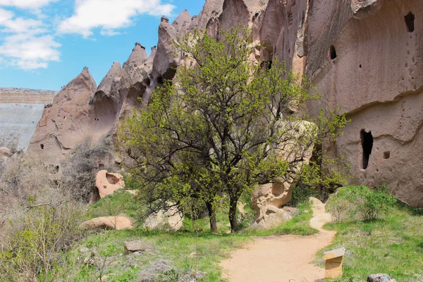 Törökország Cappadocia Göreme Szabadtéri Múzeum Barlang — Stock Fotó