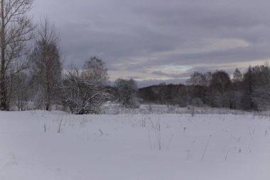 Kış kar orman, kar alan