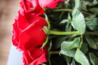 Kırmızı gül buketi, kırmızı gül arka plan, tatil hediyesi