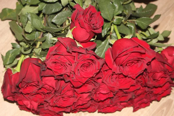 Červená Růže Kytice Růže Červené Pozadí Svátek Dárek — Stock fotografie