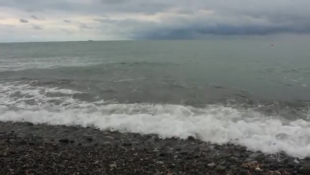 Bad Weather Sea Waves Melancholy — Stock Video