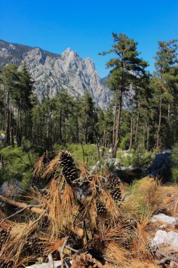 Türkiye'de dağ manzaralı Likya yolu