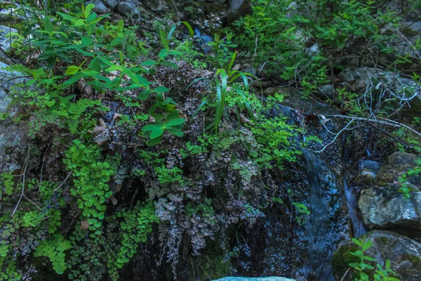 Parte Del Fiume Sorgente Montagna Sul Sentiero Licia Paio Settimane — Foto Stock