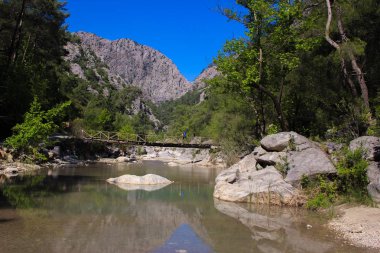 forest.nature arka planda bir dağ nehir kanyonun birlikte ourists gitmek