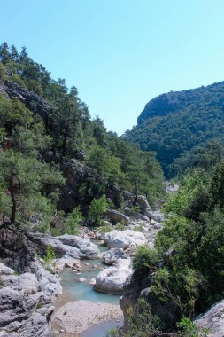 forest.nature arka planda bir dağ nehir kanyonun birlikte ourists gitmek