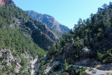 yolun dağ nehir orman doğa manzara Kanyon