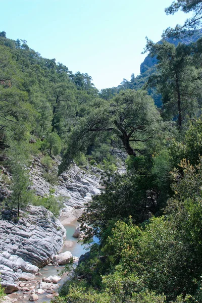 Turistas Van Largo Del Cañón Río Montaña Fondo Forest Nature — Foto de Stock