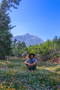 çayır Dağları'nın arka plan üzerinde renkli çiçek çiçek. Doğal arka plan