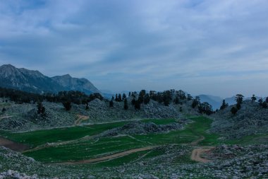 kayalık dağ manzarası, çam ormanları ve yeşil çayır. n. Likya yolu. Turkeyatural arka plan