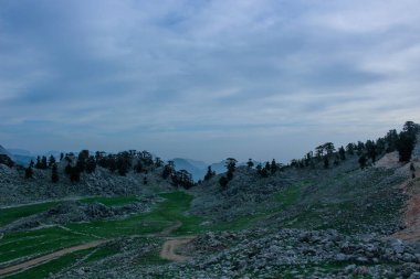 kayalık dağ manzarası, çam ormanları ve yeşil çayır. n. Likya yolu. Turkeyatural arka plan