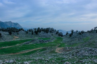 kayalık dağ manzarası, çam ormanları ve yeşil çayır. n. Likya yolu. Turkeyatural arka plan