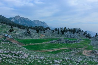 kayalık dağ manzarası, çam ormanları ve yeşil çayır. n. Likya yolu. Turkeyatural arka plan