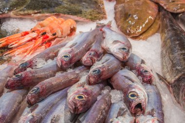 Barselona'da piyasada taze deniz ürünleri