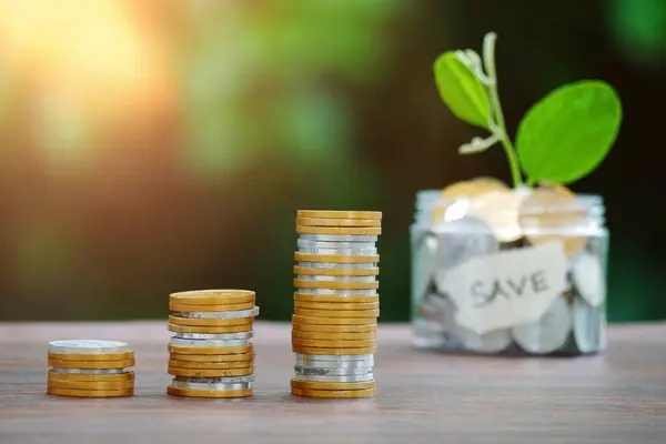 Money in a glass with a plant growing in a glass jar filled with coins for investment, saving money and developing business