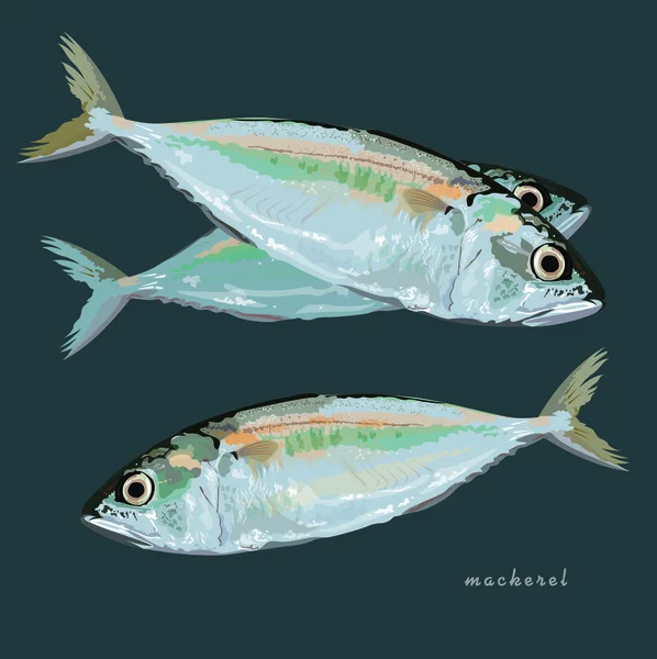 Mackerel Fish Vector Eps Format — Stock Vector